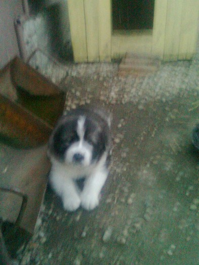 79961747_SEHHKEA3[1]