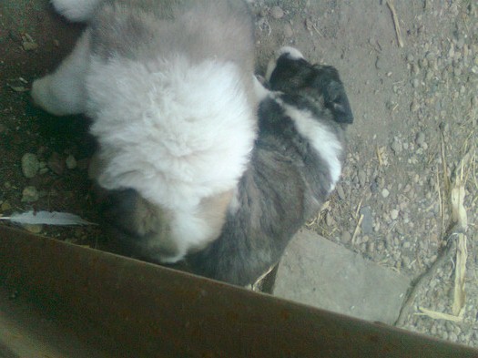 79961728_OKLPHYQ3[1]