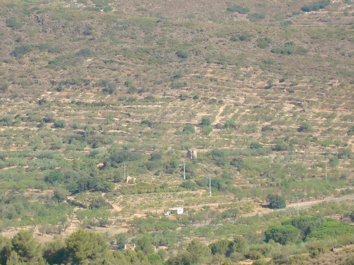 casuta intre plantatii de maslini si migdali