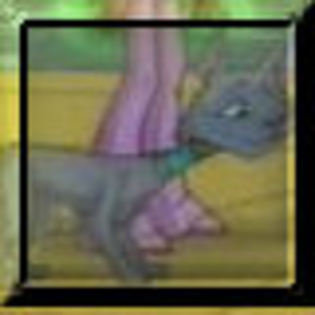 avatar42