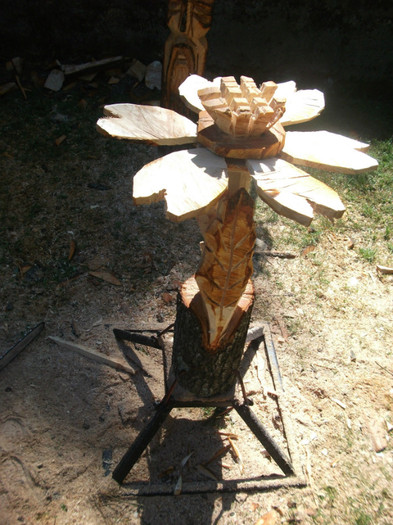 DSCF9426 - poze sculpturi