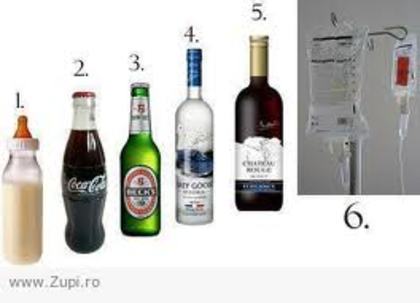 Evolutia Vieti ! Tu LA Ce Esti?!