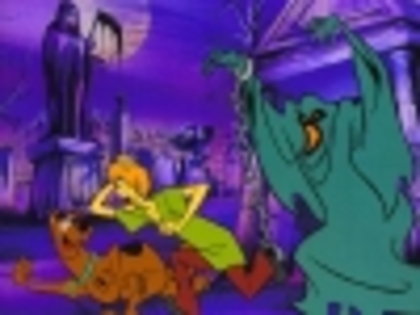 scooby doo & shaggy and a ghost - scooby doo