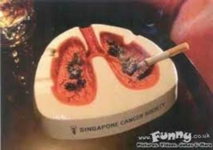 images (3)