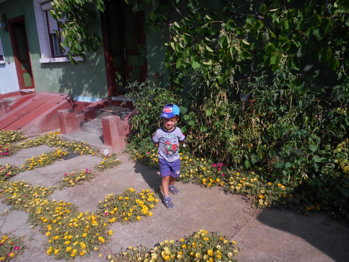 Andrei si florile de piatrà