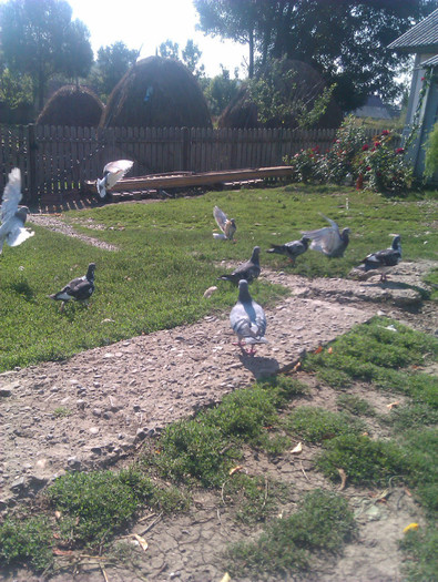 IMAG0031