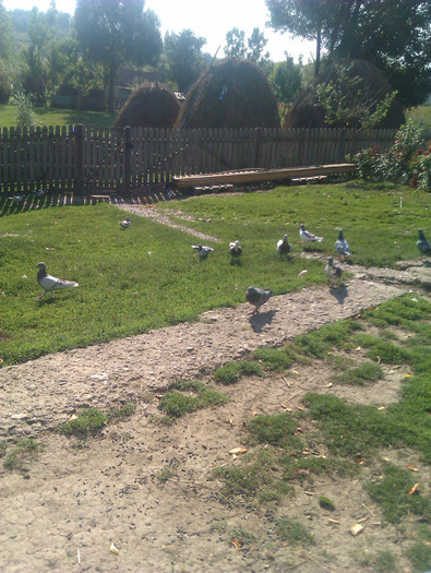 IMAG0034