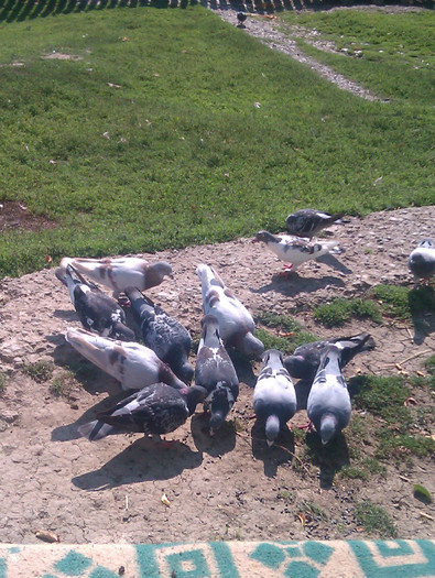 IMAG0037