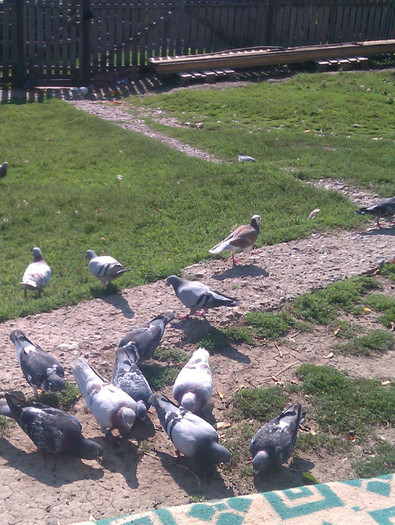 IMAG0038