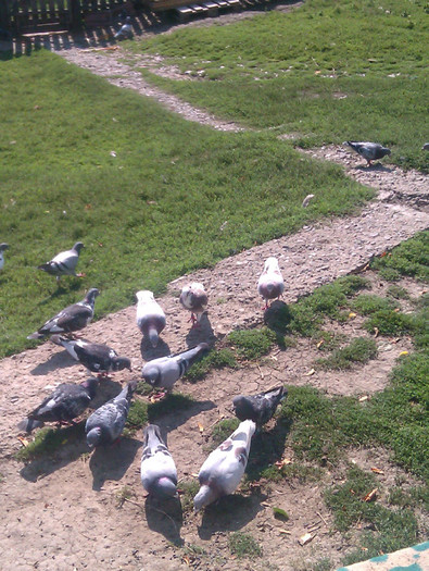 IMAG0039
