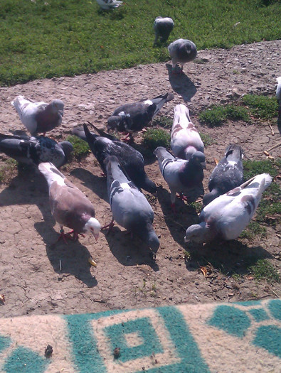 IMAG0040