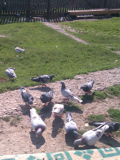 IMAG0041