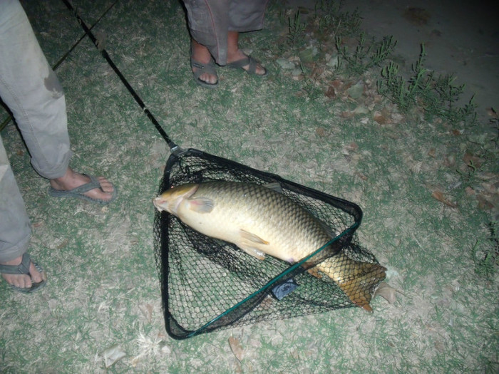 DSCF2905 - la pescuit 24- 26 august 2012