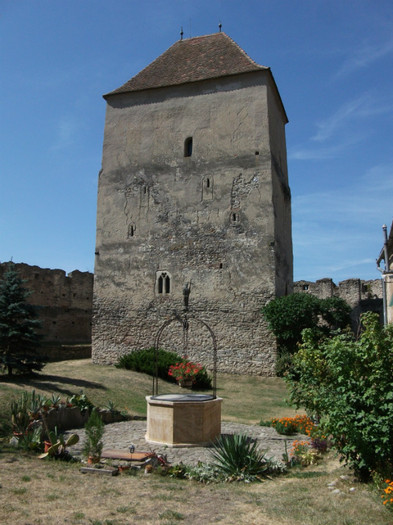 Picture 010 - Cetatea Calnic