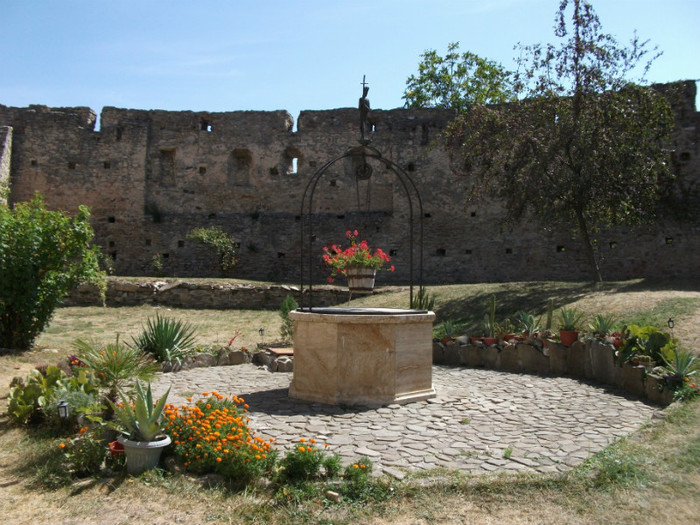 Picture 011 - Cetatea Calnic