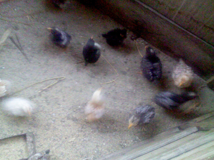 IMG00253; suntem alta generatie
