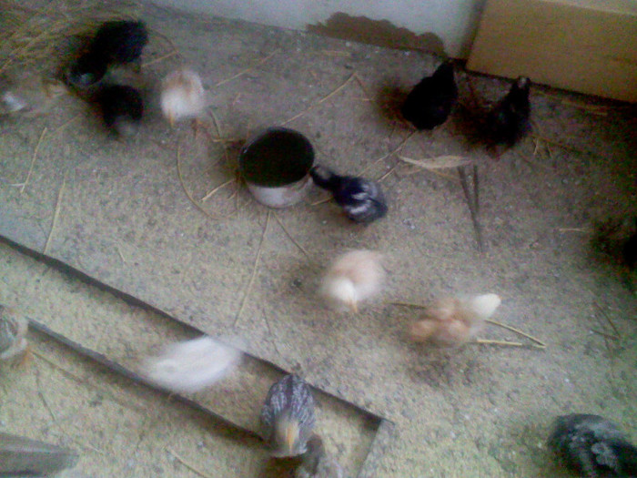 IMG00254; si noi suntem alta generatie
