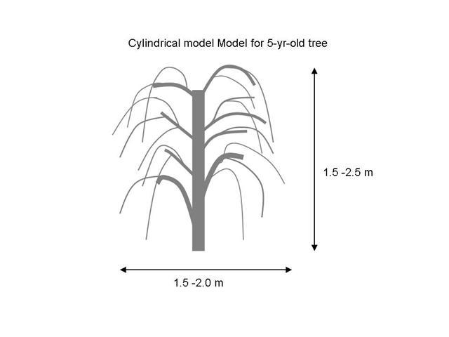 cylindrical