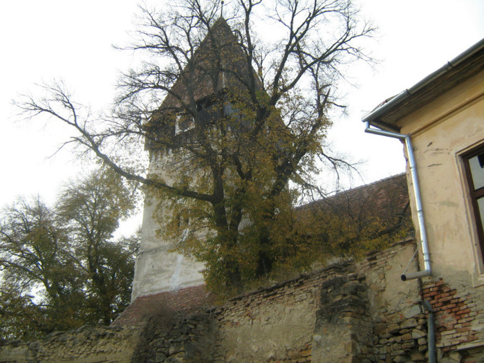 Biserica saseasca din Toarcla - Toarcla jud Brasov