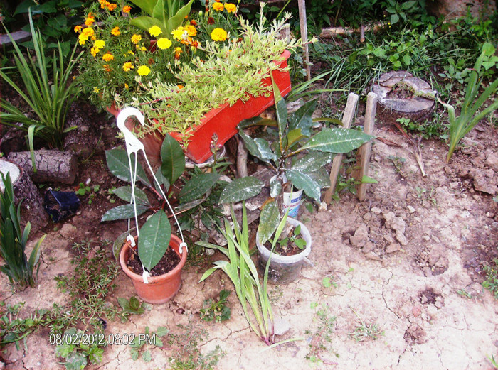 august 2012 110