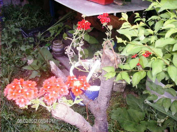 august 2012 114