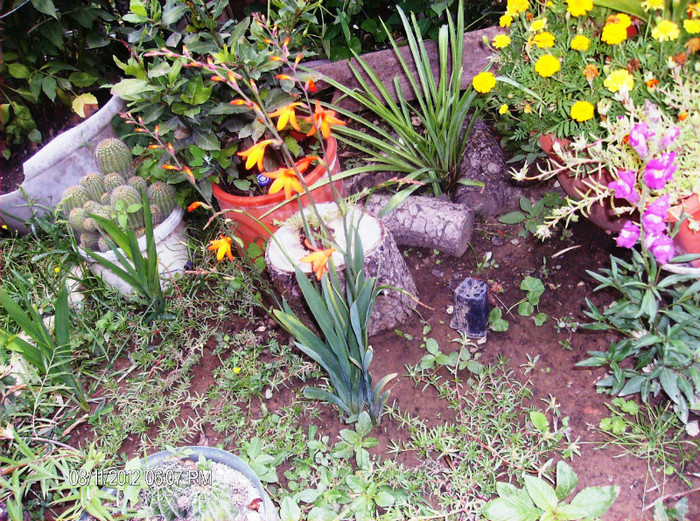 august 2012 131