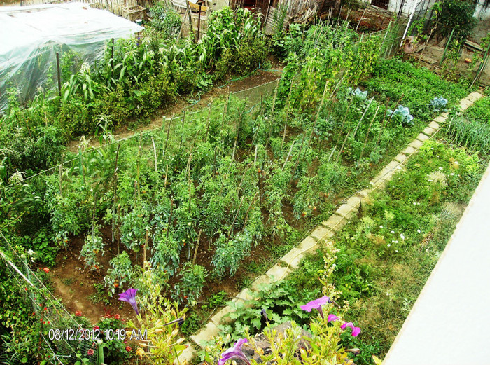 august 2012 140