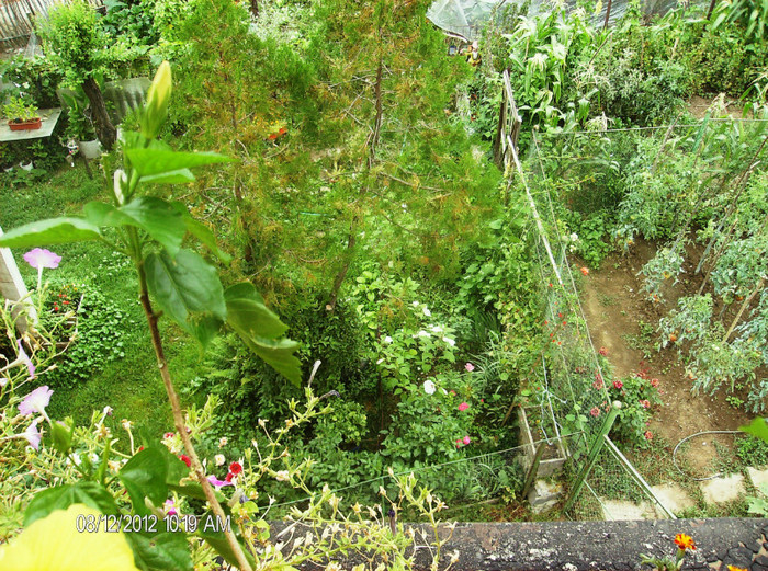 august 2012 141