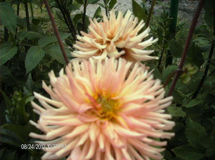 august 2012 189
