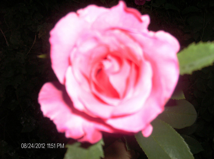 august 2012 210