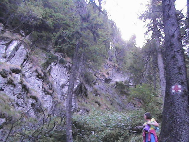 PIC_0236 - Durau excursie 2012