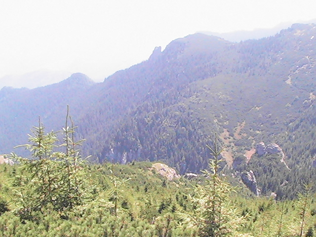 PIC_0279 - Durau excursie 2012