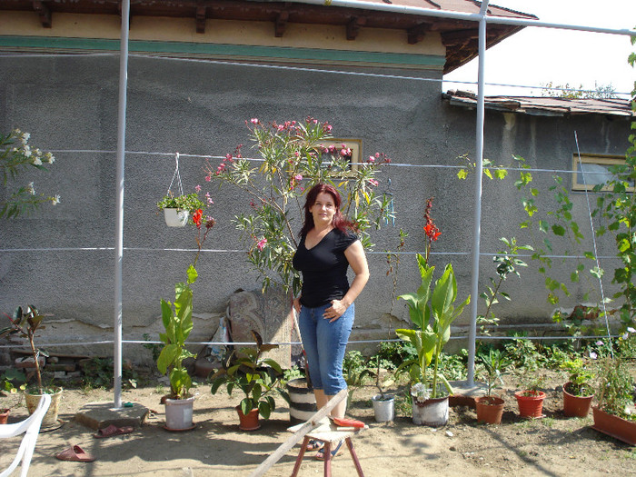 la tara 133 - AMINTIRI DIN TRECUT