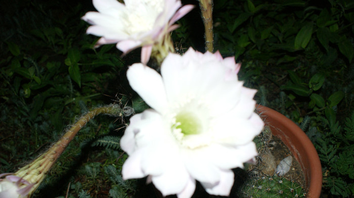 DSC09148