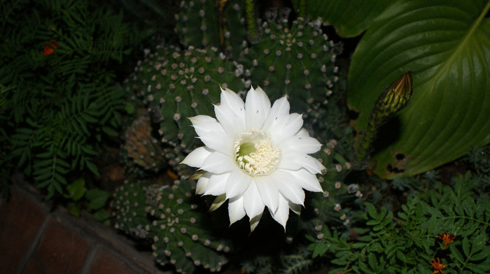 DSC09151