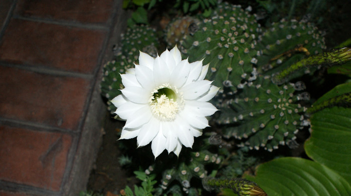 DSC09152