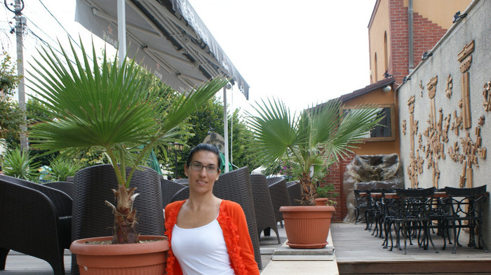 DSC09163