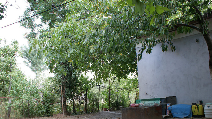 DSC09235 - Vacanta  2012  august