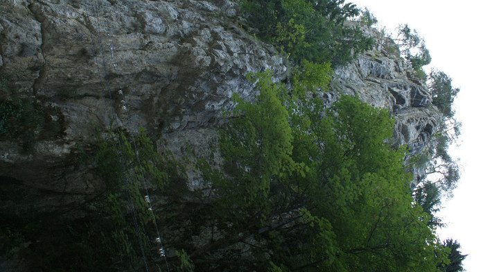DSC09252 - Vacanta  2012  august