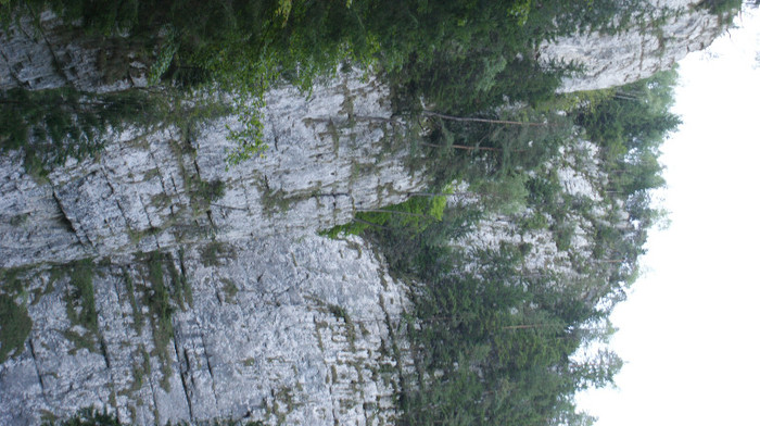 DSC09256 - Vacanta  2012  august