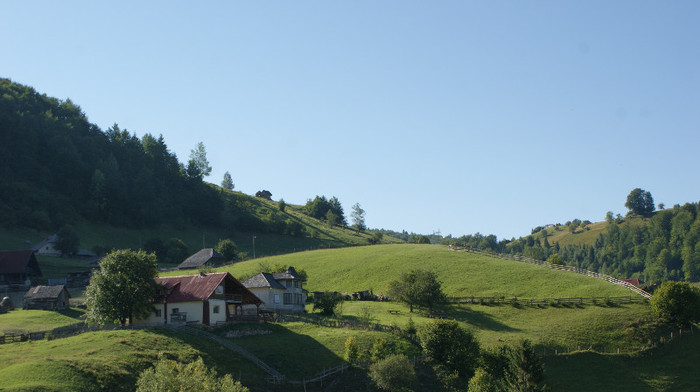 DSC09277