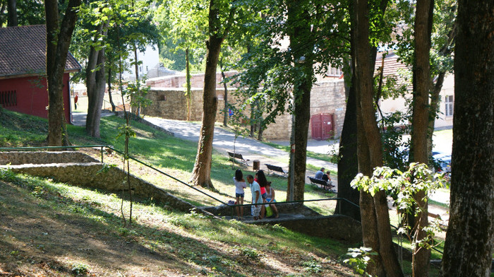 DSC09294
