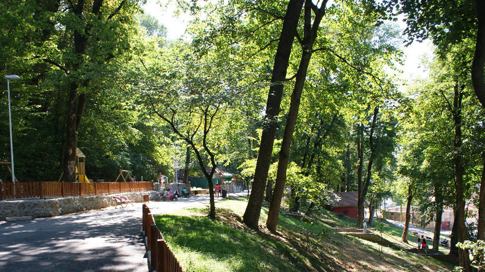 DSC09295
