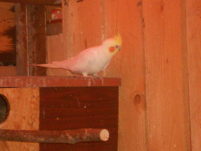 Picture 1257