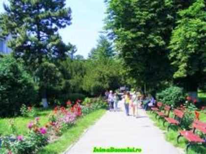 images (16) - Orasul meu