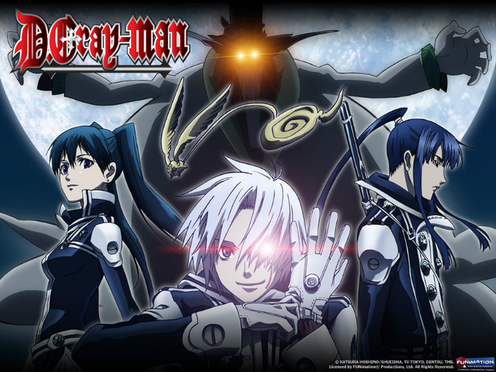 13 - D gray man