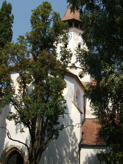 Picture 119 - Biserica fortificata Prejmer