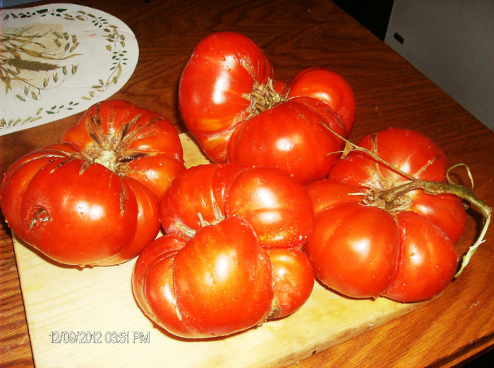 august 2012 tomatele mele cu origini in 1966 - Recolta gradina 2012