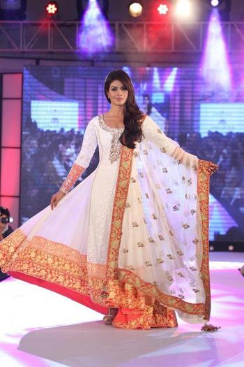 529171_385318518196454_1552972928_n - 0 Priyanka Chopra