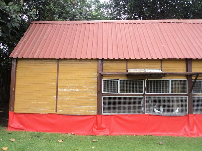 185748_151289821599627_1589149_n